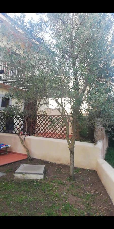 Oasiglo Apartment La Maddalena  Exterior photo